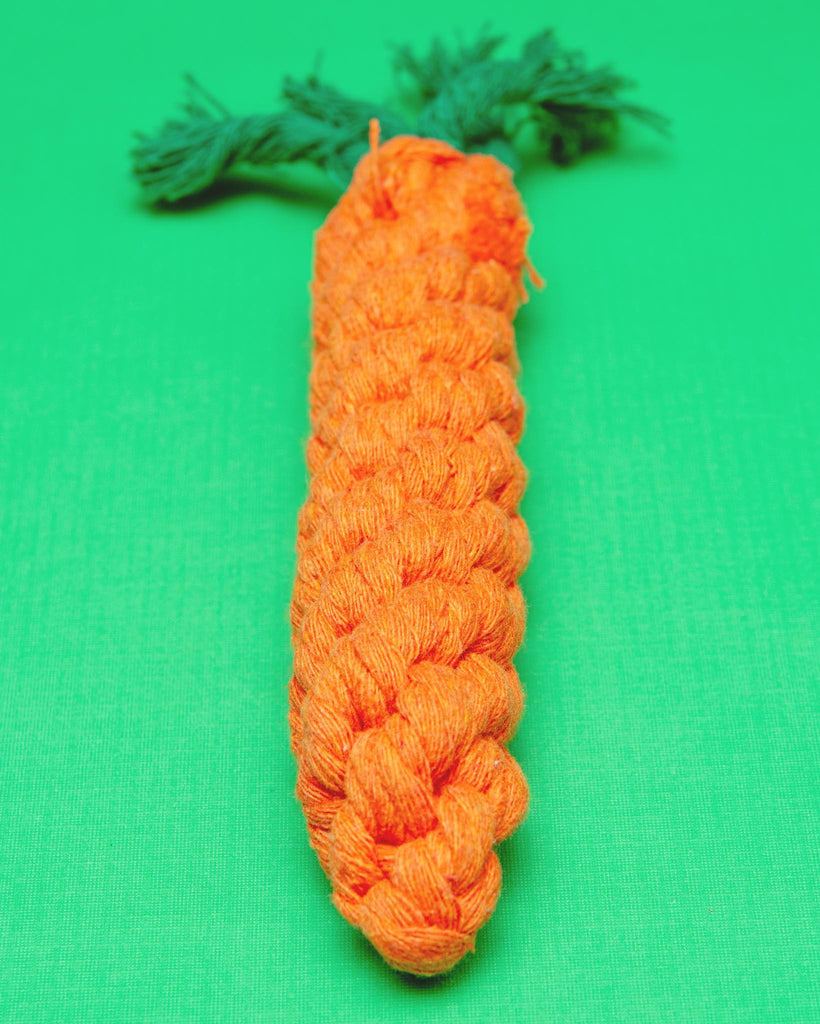 Eco-Friendly Carrot Rope Dog Toy Play KNOTTY PAWS   