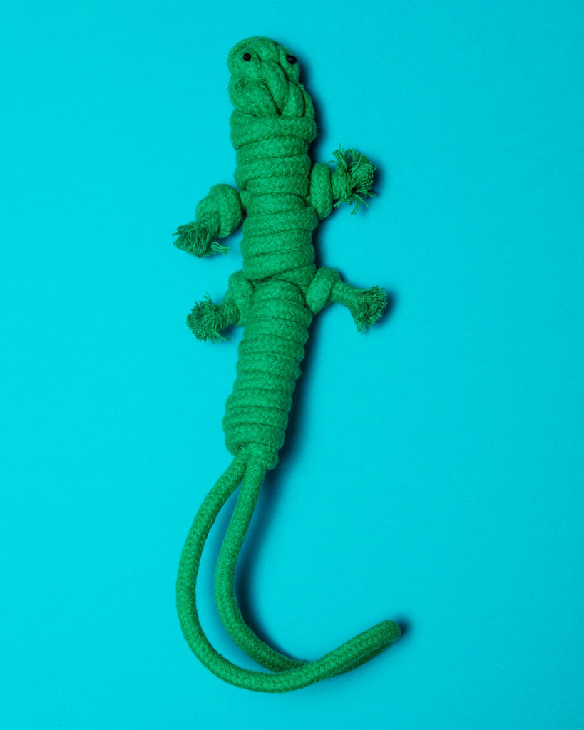 Homemade Eco-Friendly Green Lizard Dog Rope Toy Play KNOTTY PAWS   