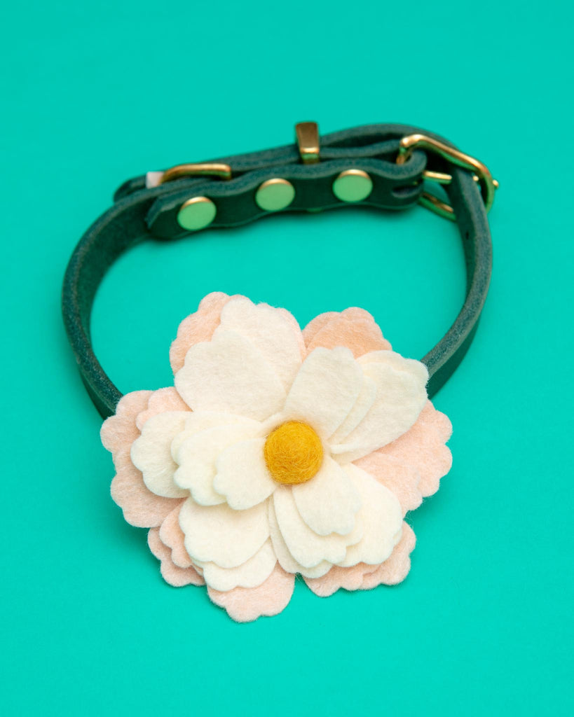 lily flower dog collar Water Lily Dog Collar Flower In Cream (Made in the USA)
