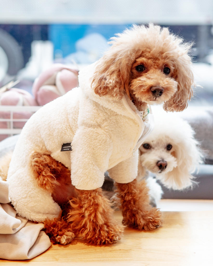 Boa Fleece Onesie in Cream (Dog & Co. Exclusive) Wear DENTISTS APPOINTMENT   