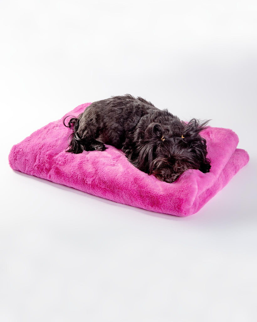 Faux Fur Brady Dog Blanket HOME APPARIS   