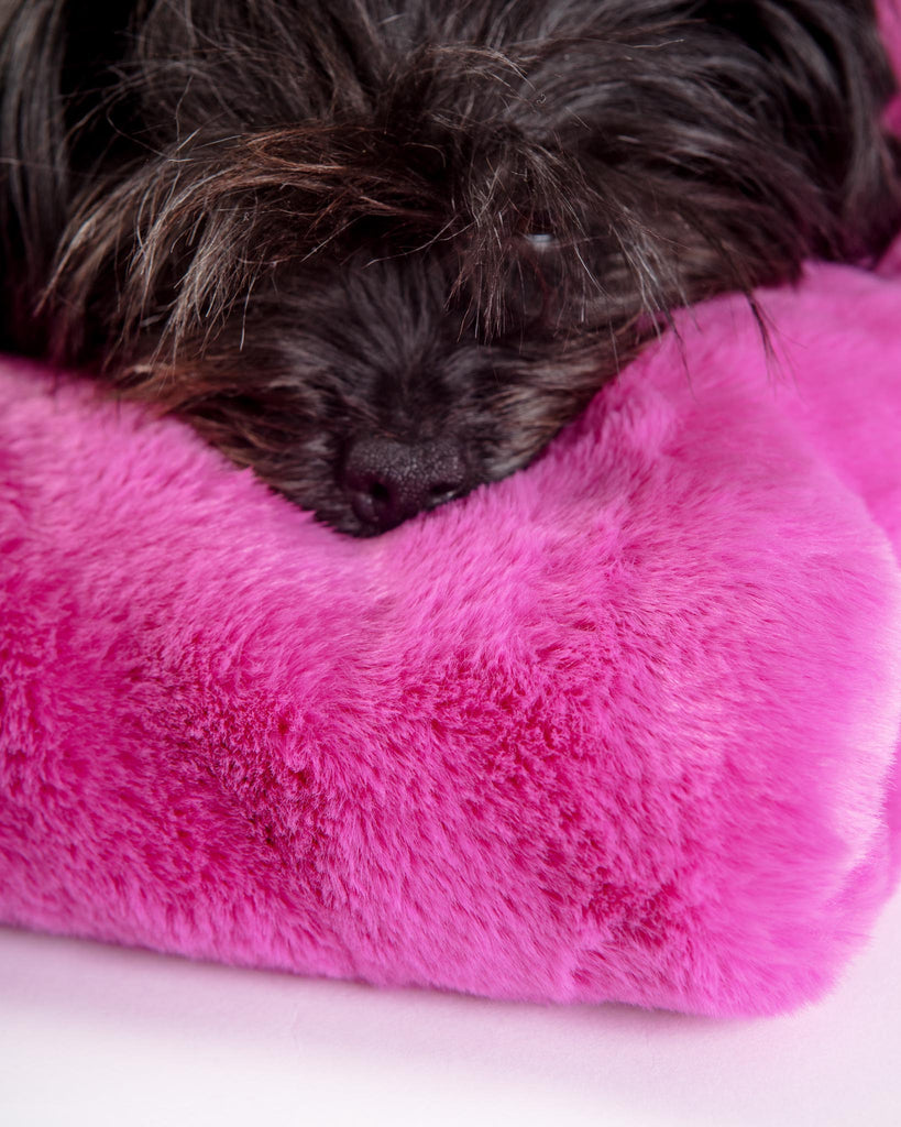 Faux Fur Brady Dog Blanket HOME APPARIS   