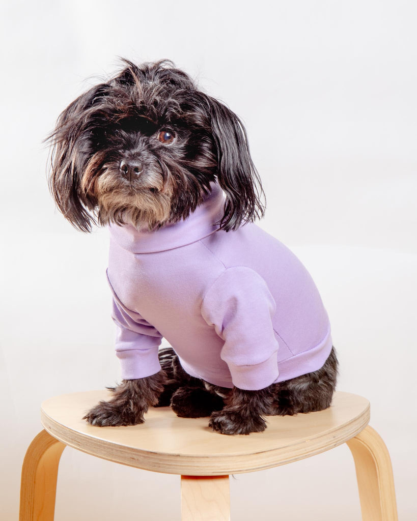 Cotton Pullover Dog T-Shirt in Lavender or Navy Wear COLETTE ET GASTON Lavender 2X-Small 