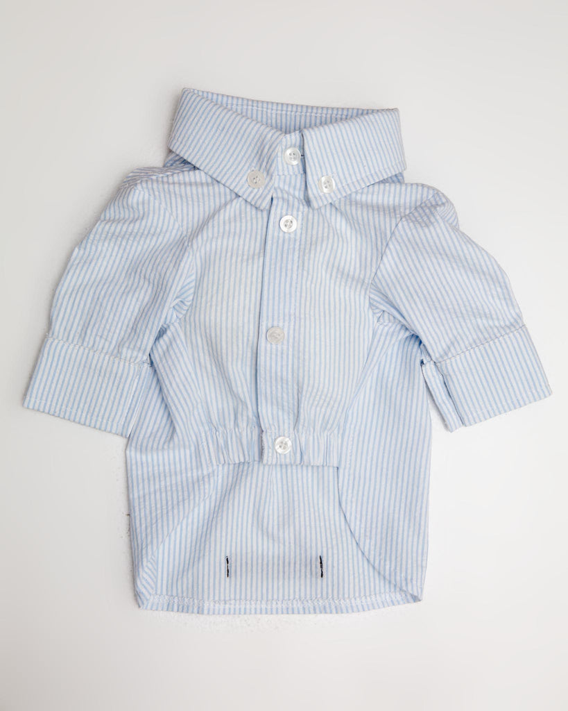 Slim Fit Organic Cotton Button Down Dog Shirt in Striped Blue Wear COLETTE ET GASTON   