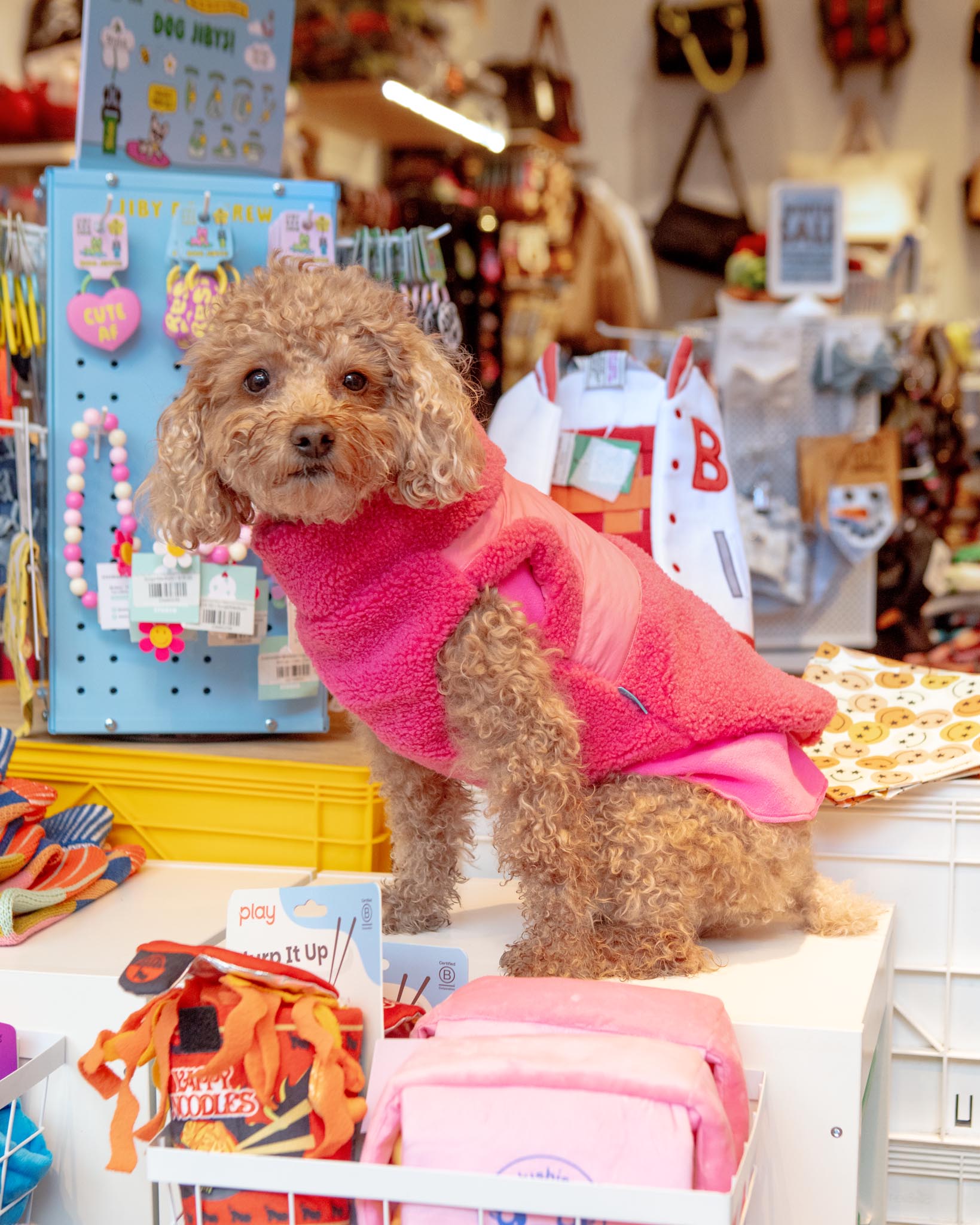 GOOBY | Zip Up Sherpa Dog Harness Vest in Pink | DOG & CO.