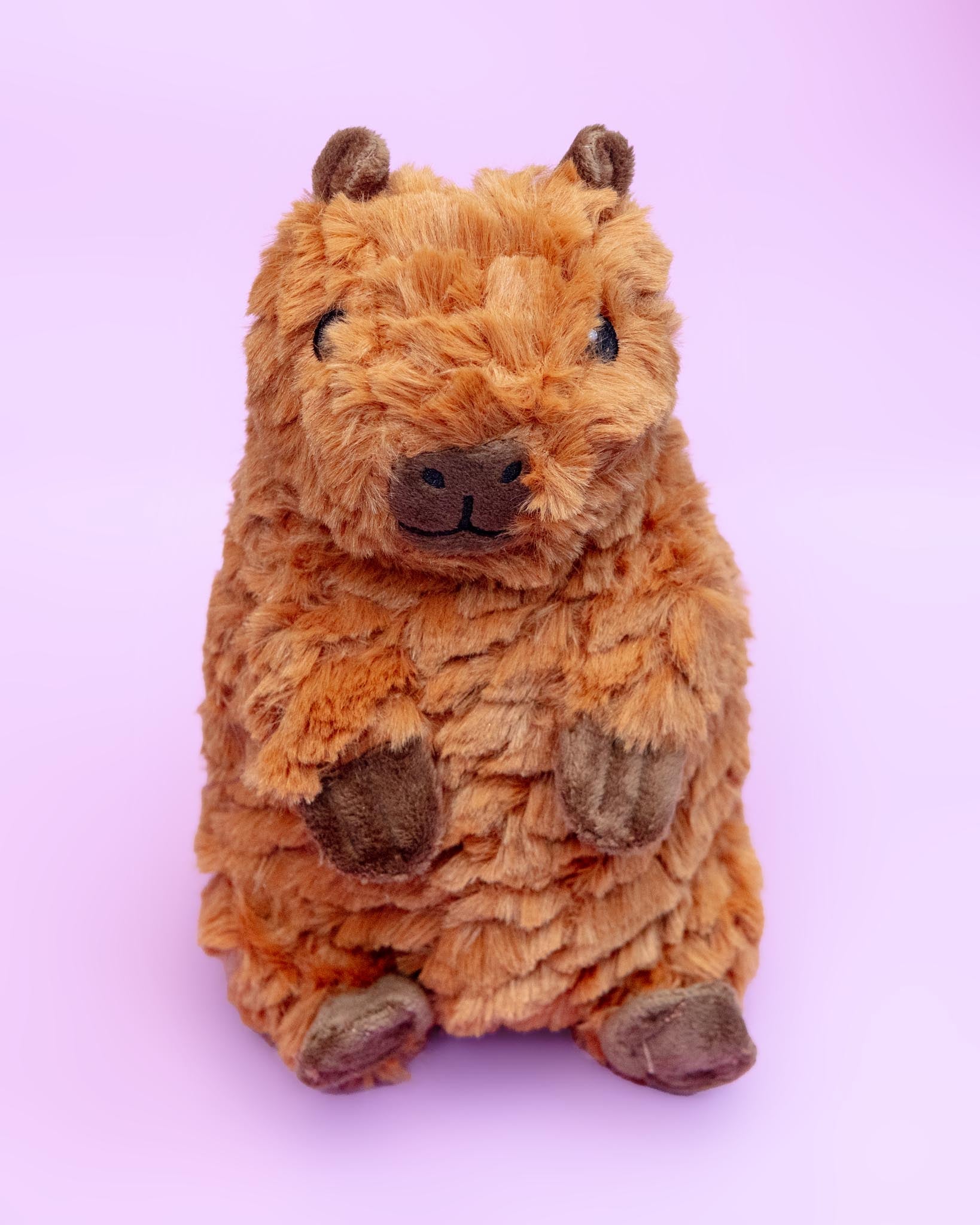 PET LOU | Capybara Squeaky Plush Dog Toy | DOG & CO.
