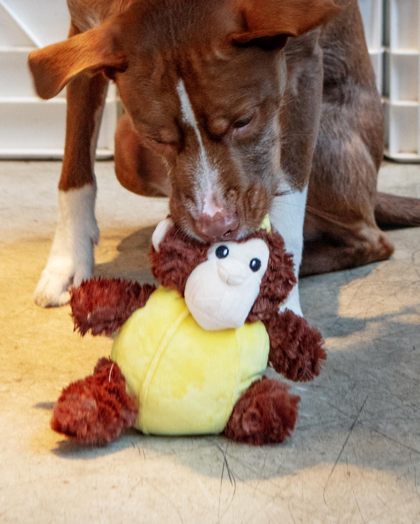 Banana Monkey Squeaky Plush Dog Toy