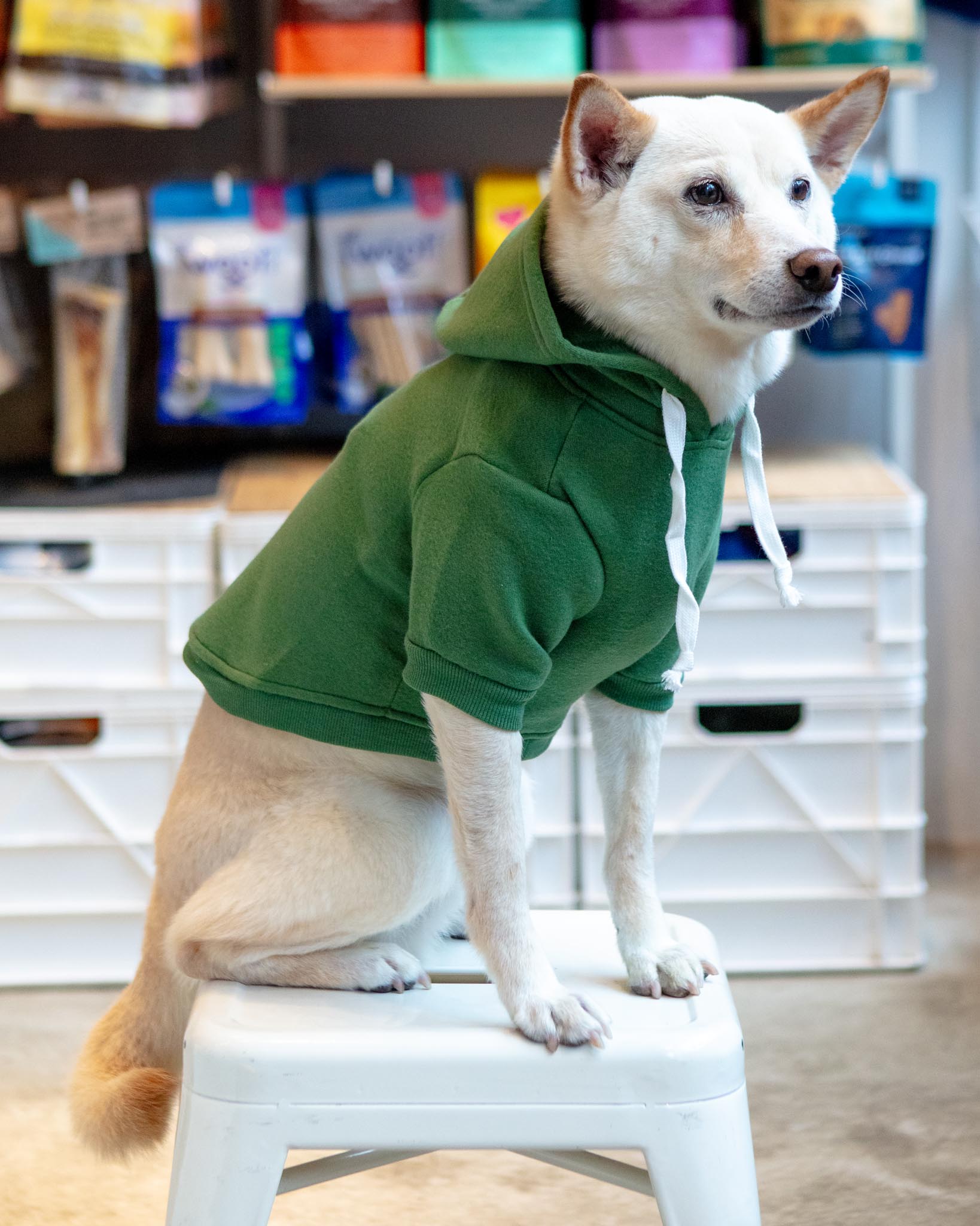 DOG & CO. | Quality Pet Products, In-Store & Online