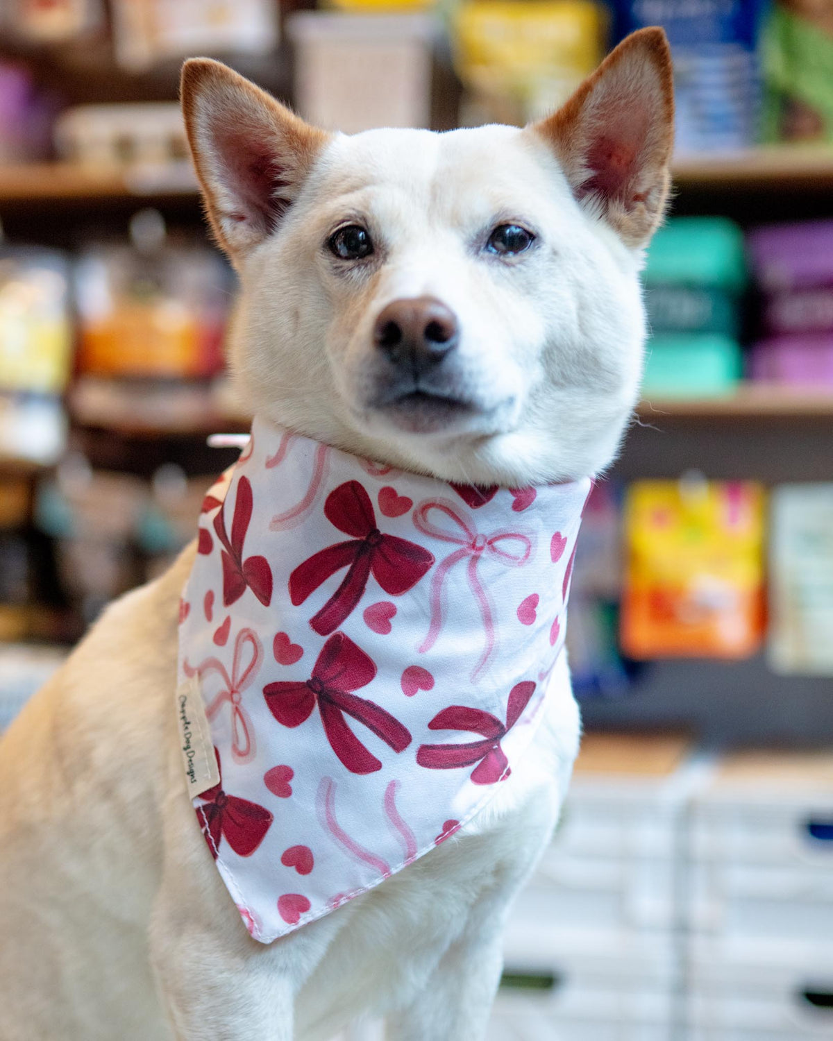 DAPPLE DOG DESIGNS | Pink Bows Dog Bandana (Made in the USA) | DOG & CO.
