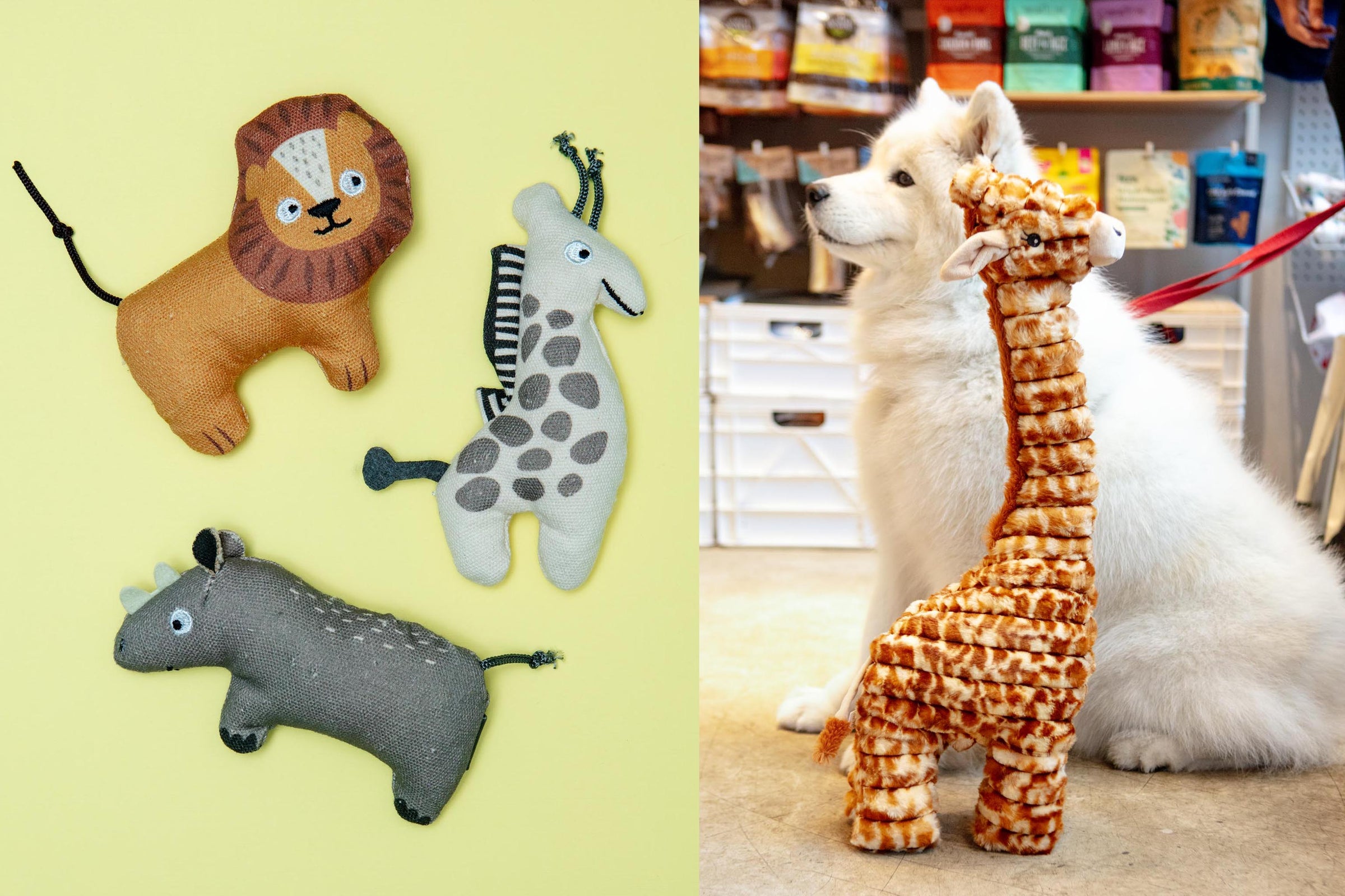 DOG & CO. | Quality Pet Products, In-Store & Online