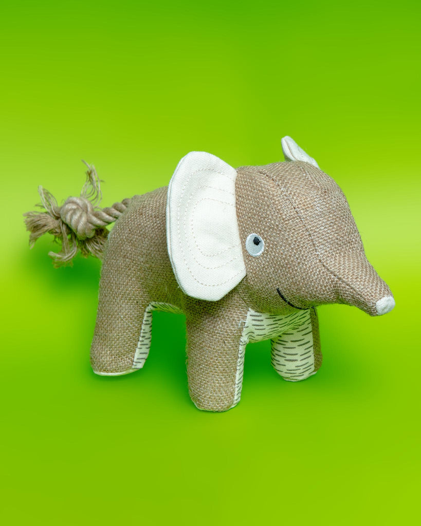 FRINGE STUDIO | It's in the Trunk Canvas Elephant Dog Toy | DOG & CO.