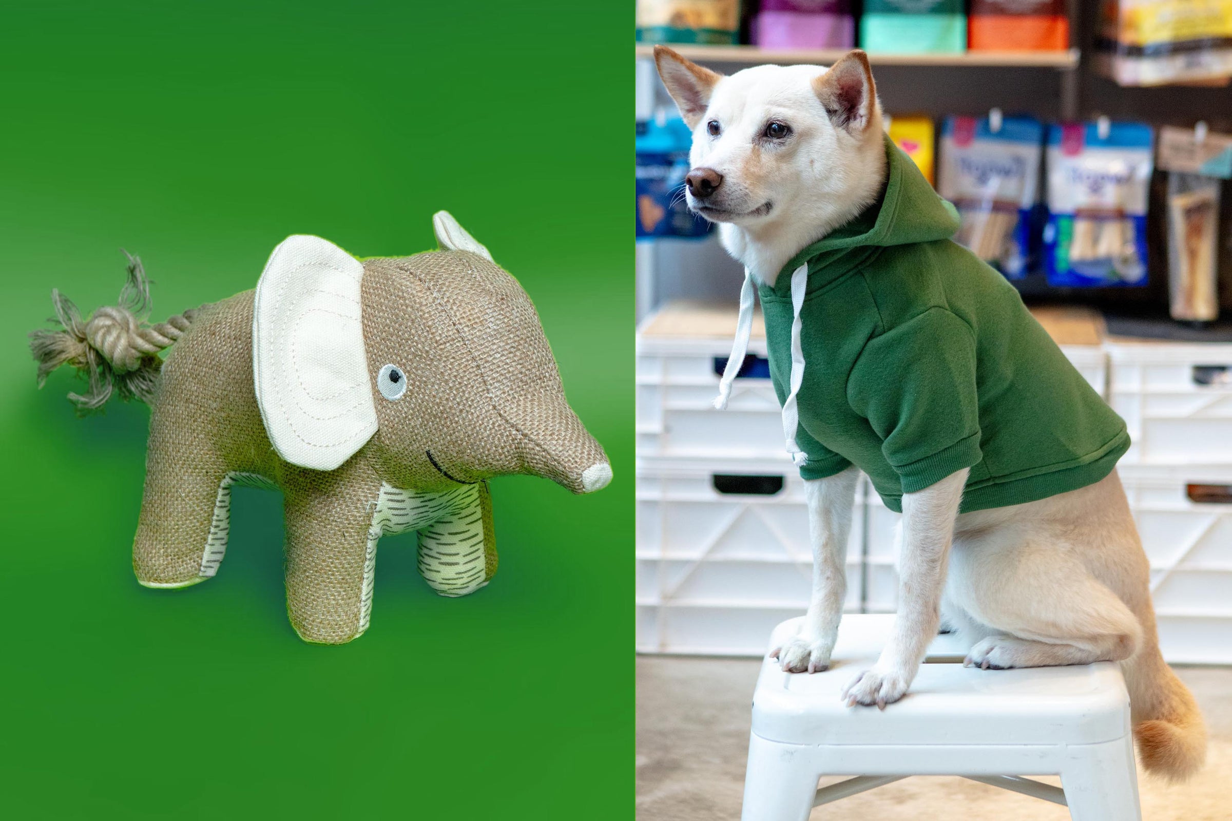 DOG & CO. | Quality Pet Products, In-Store & Online