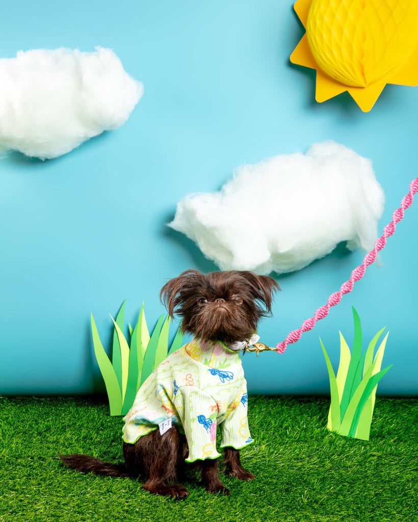 Garden Lettuce Dog T-Shirt Wear COTE A COTE   