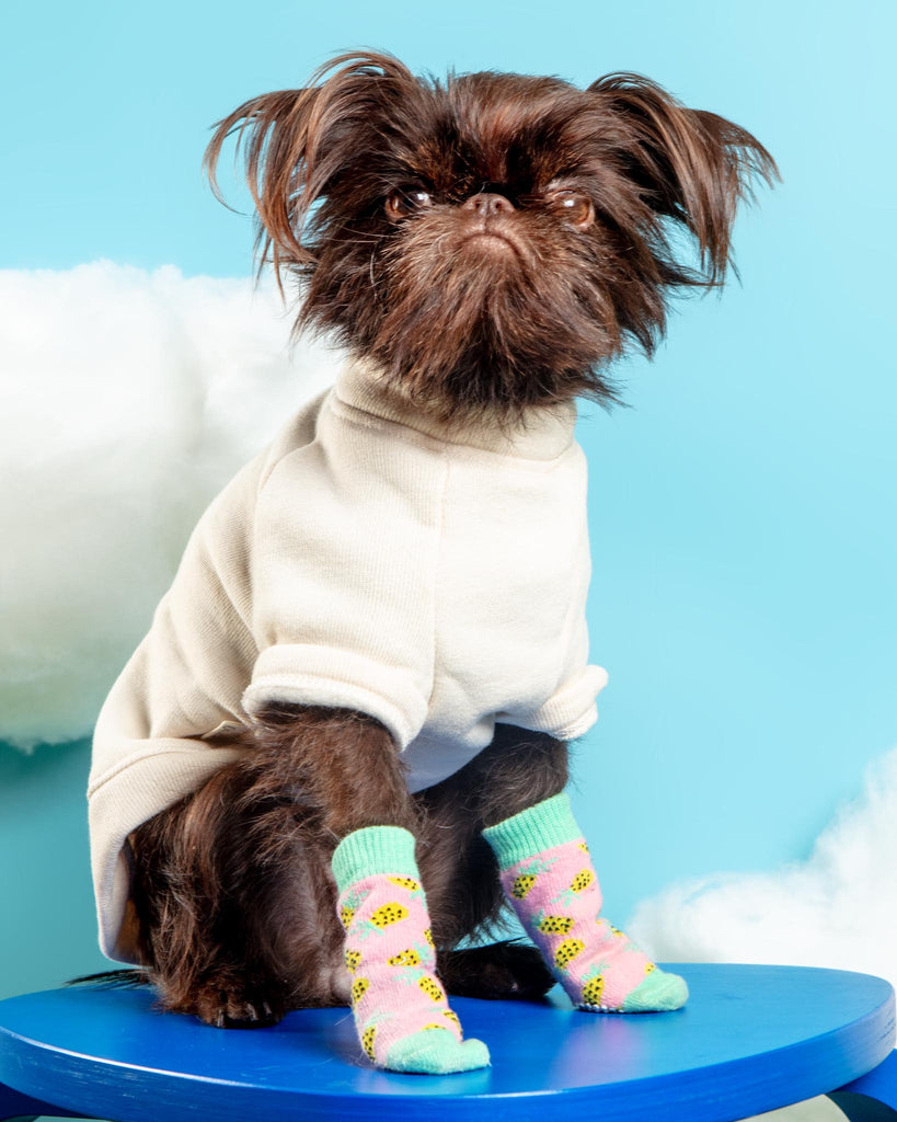 Non-Skid Dog Socks in Pineapple Wear DOGGIE DESIGN   
