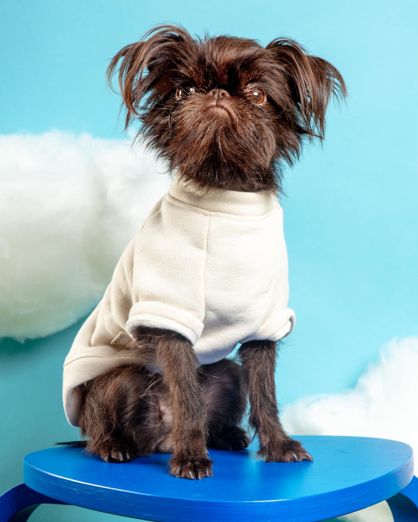 Basic Solid Pet Sweatshirt Wear OAT COLLECTIVE   