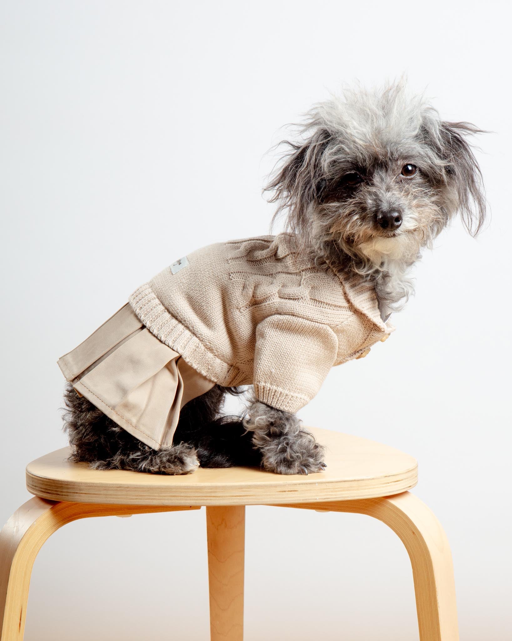 RIIKYU | Naturalia Knit + Trench Dog Dress | DOG & CO.