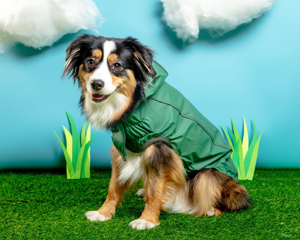 Reversible Waterproof Dog Raincoat in Green Wear GF PET   