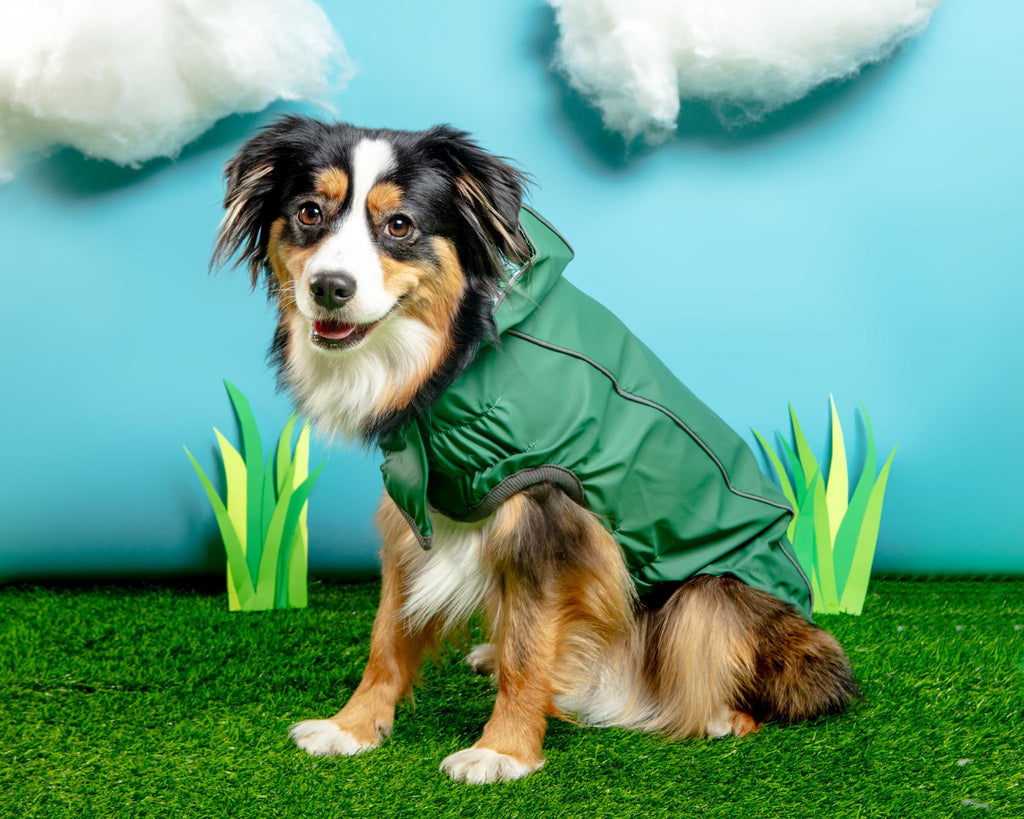 Reversible Waterproof Dog Raincoat in Green
