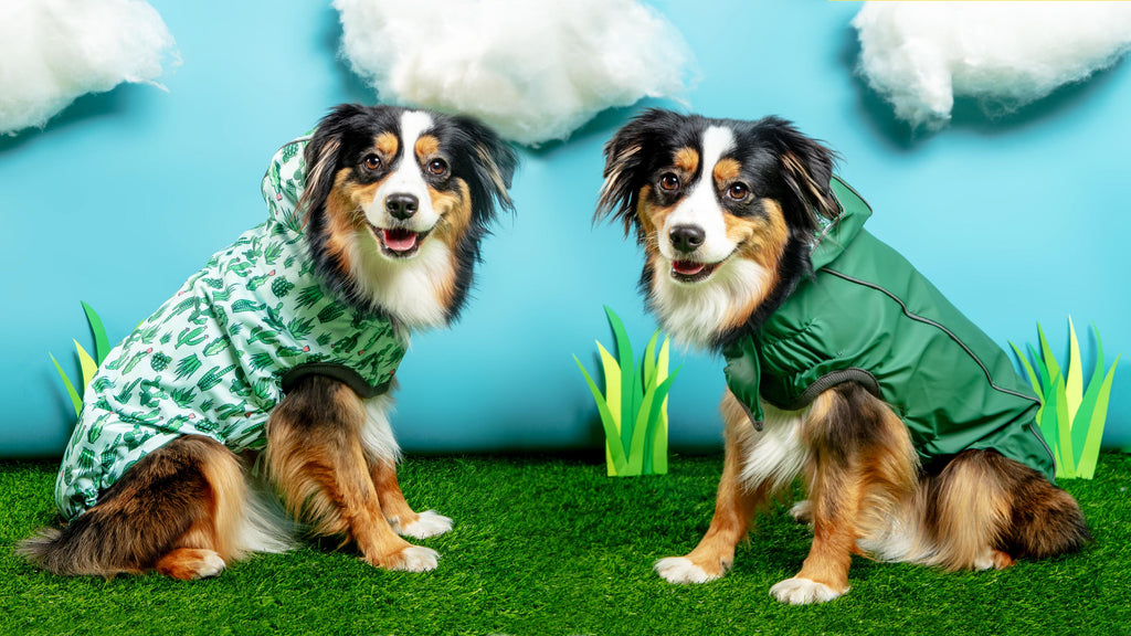 Reversible Waterproof Dog Raincoat in Green Wear GF PET   