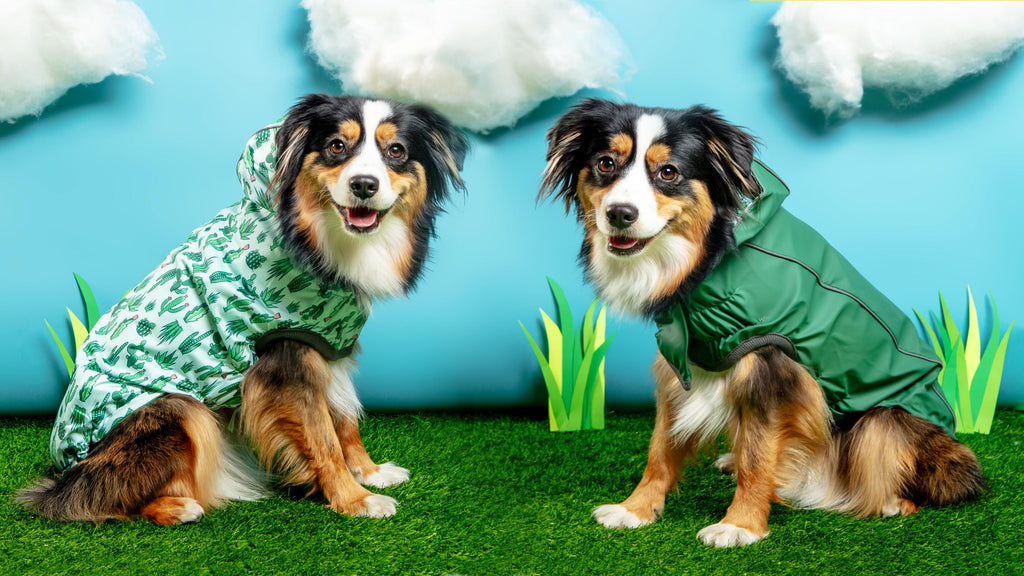 Reversible Waterproof Dog Raincoat in Green
