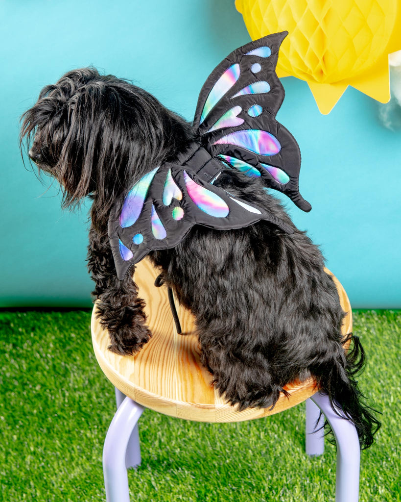 Adjustable Tie-On Butterfly Wings for Dogs Wear DOGO   