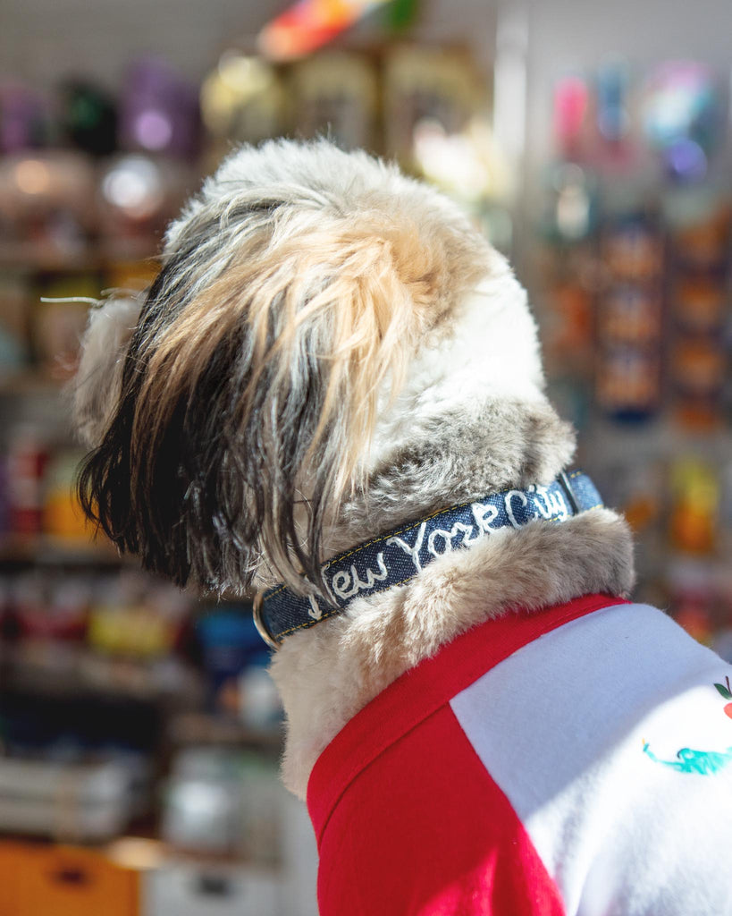 Hand Embroidered New York City Dog Collar in Dark Denim (Made in the USA) WALK MIMI GREEN   