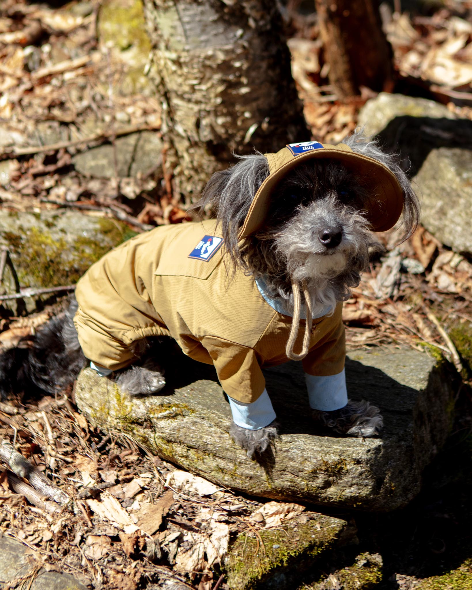 PUPPY GALLERY | Outside+ Cooling Dog Jumpsuit