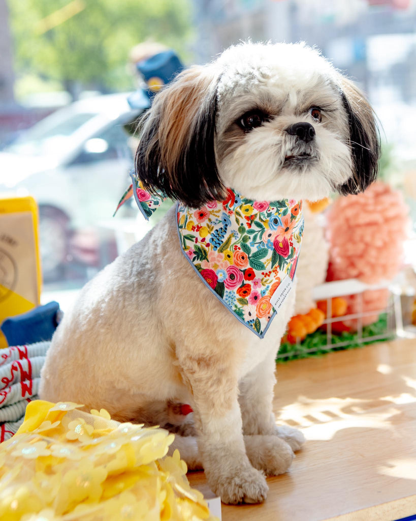 Rifle Paper Co. X Tfd Garden Party Dog Bandana (Made in the USA) (FINAL SALE) Wear THE FOGGY DOG   