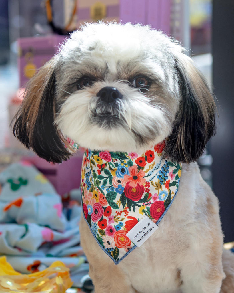 Rifle Paper Co. X Tfd Garden Party Dog Bandana (Made in the USA) (FINAL SALE) Wear THE FOGGY DOG   