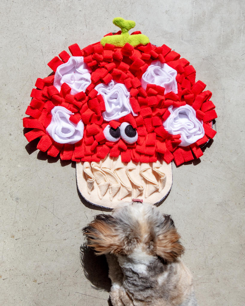 Mushroom Veggie Snuffle Mat Dog Toy Play CHEERHUNTING   