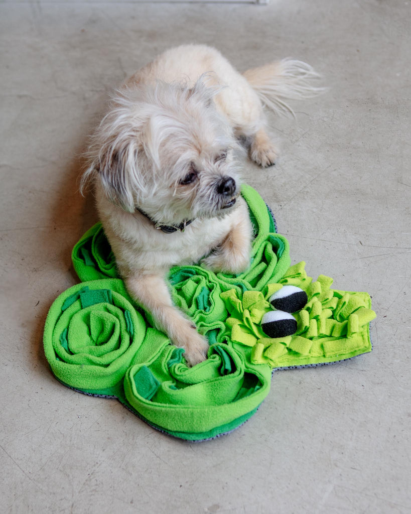 Broccoli Veggie Snuffle Mat Dog Toy Play CHEERHUNTING   