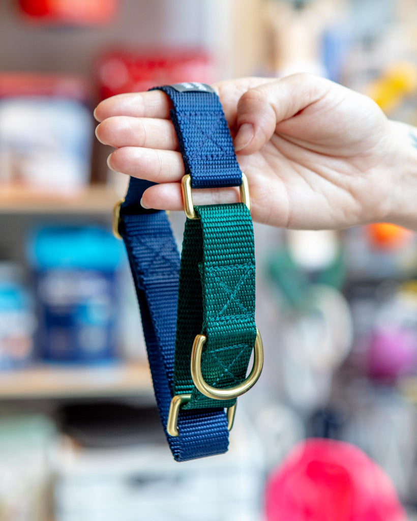 Martingale Dog Collar in Navy + Evergreen (Made in the USA) WALK MAJOR DARLING   