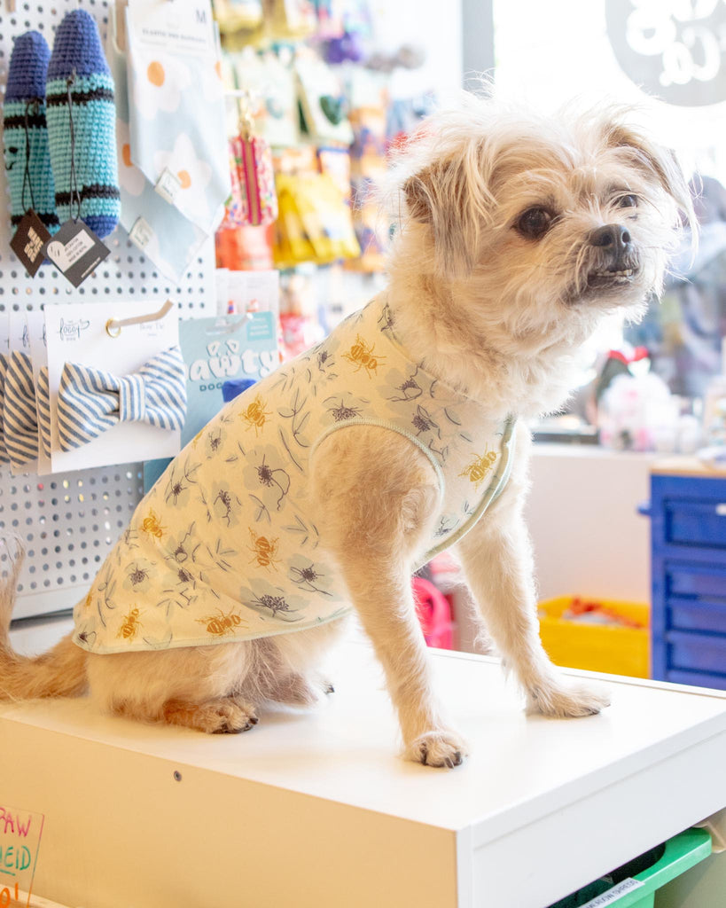 Sun Shield Tee in Vintage Bee Print (Made in the USA) Wear GOLD PAW   