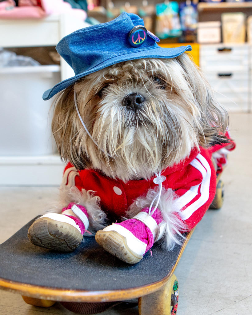 Denim Pet Bucket Hat (Made in the USA) Wear ICECREAMTREE STUDIO   