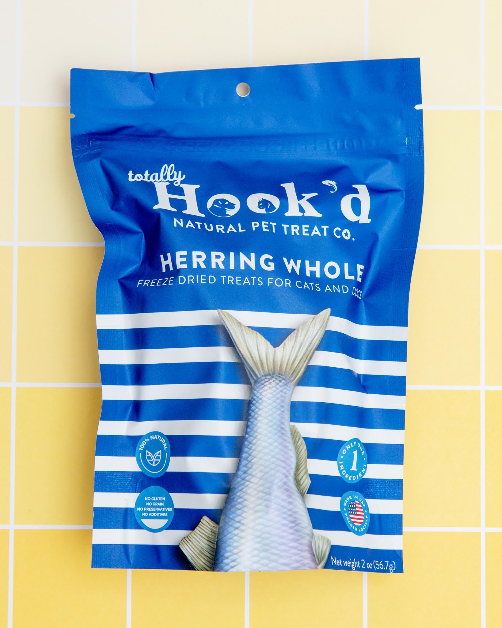 Dog_Co_1C5A7750_1638x.jpg?v=