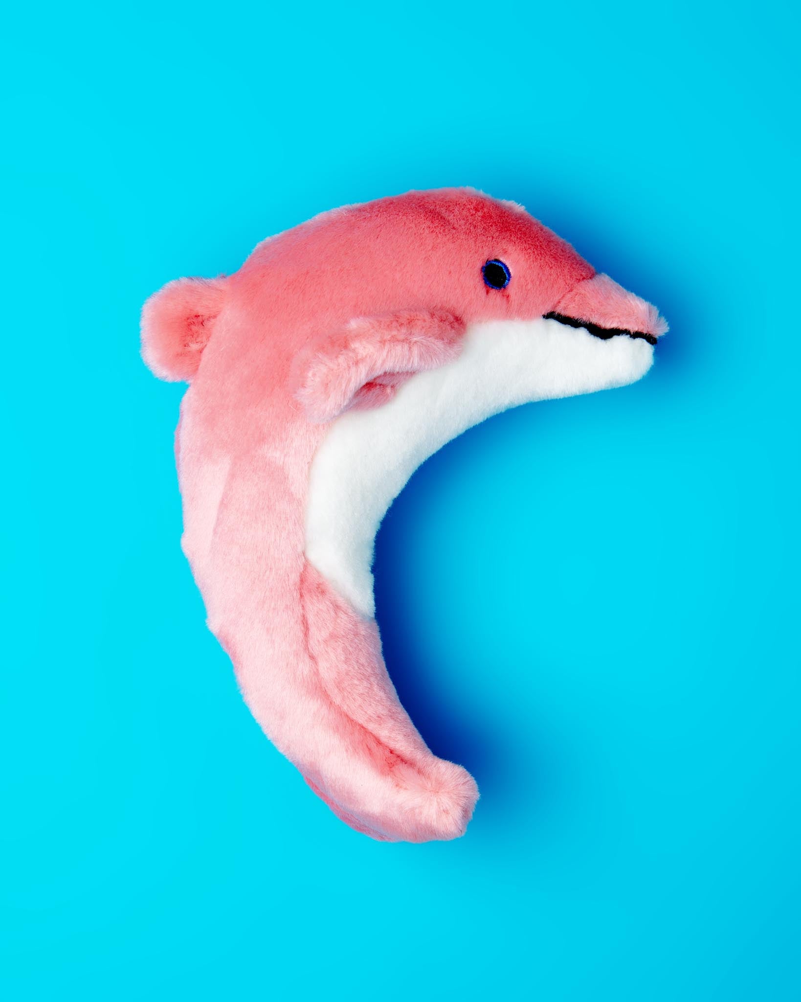 FLUFF & TUFF | Gisele Mini Dolphin Squeaky Dog Toy | DOG & CO.