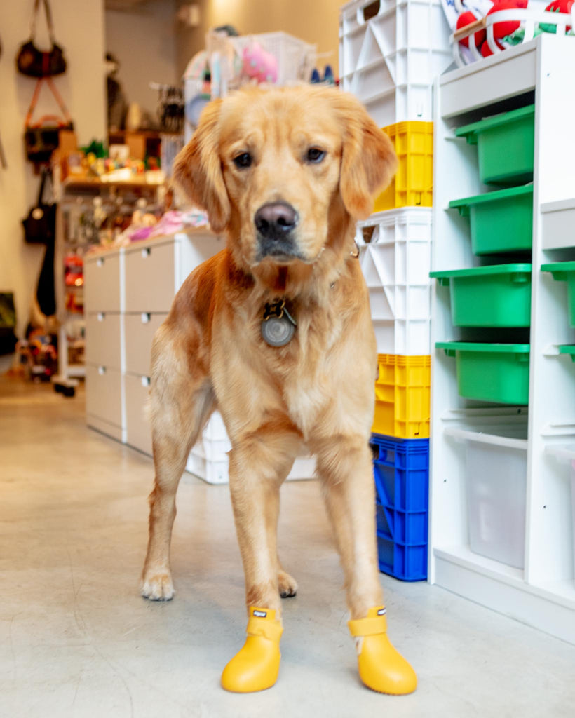 WagWellies Waterproof Dog Boots