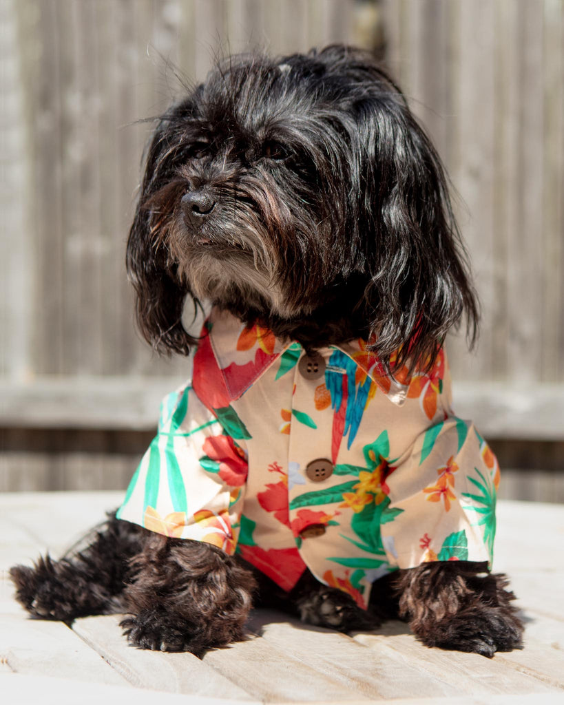 Island Time BBQ Dog Shirt Wear DOG THREADS   