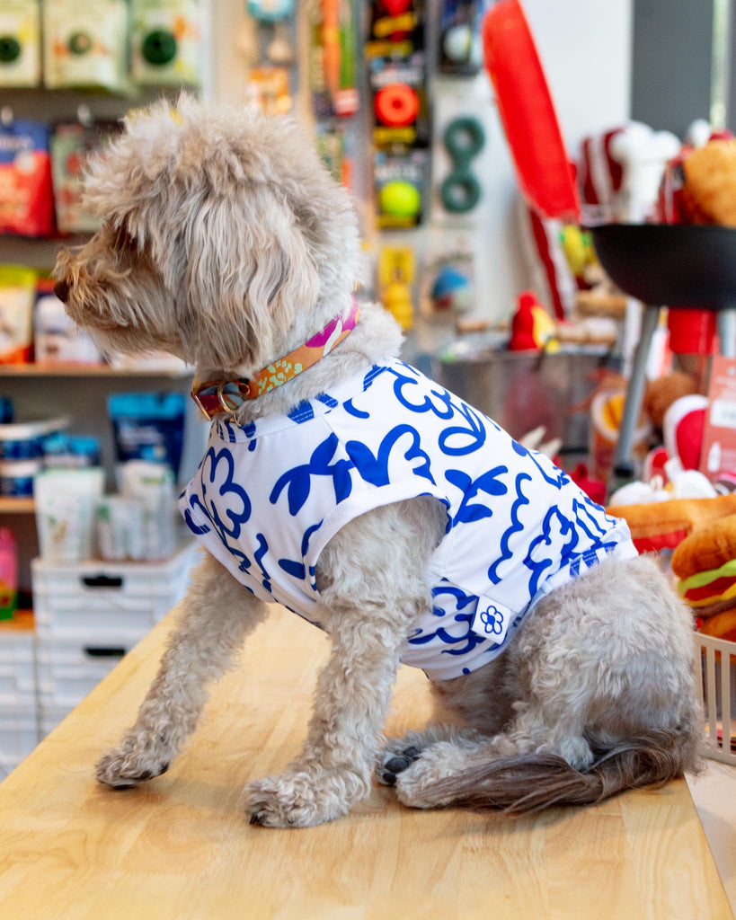 Blue Scribbles Cooling Dog Tee (FINAL SALE) (SUM24LO) Wear COTE A COTE   