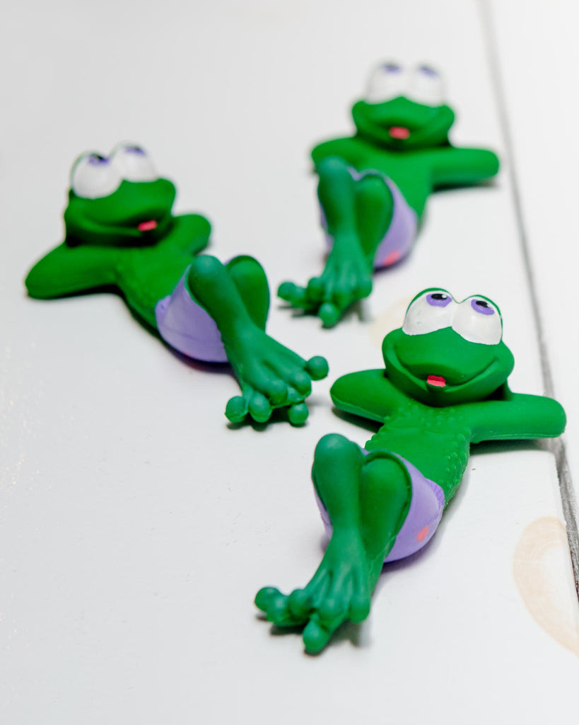 Beach Frog Squeaky Rubber Dog Toy Play LANCO TOYS   