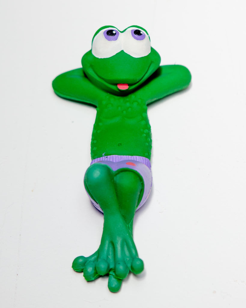 Beach Frog Squeaky Rubber Dog Toy Play LANCO TOYS   
