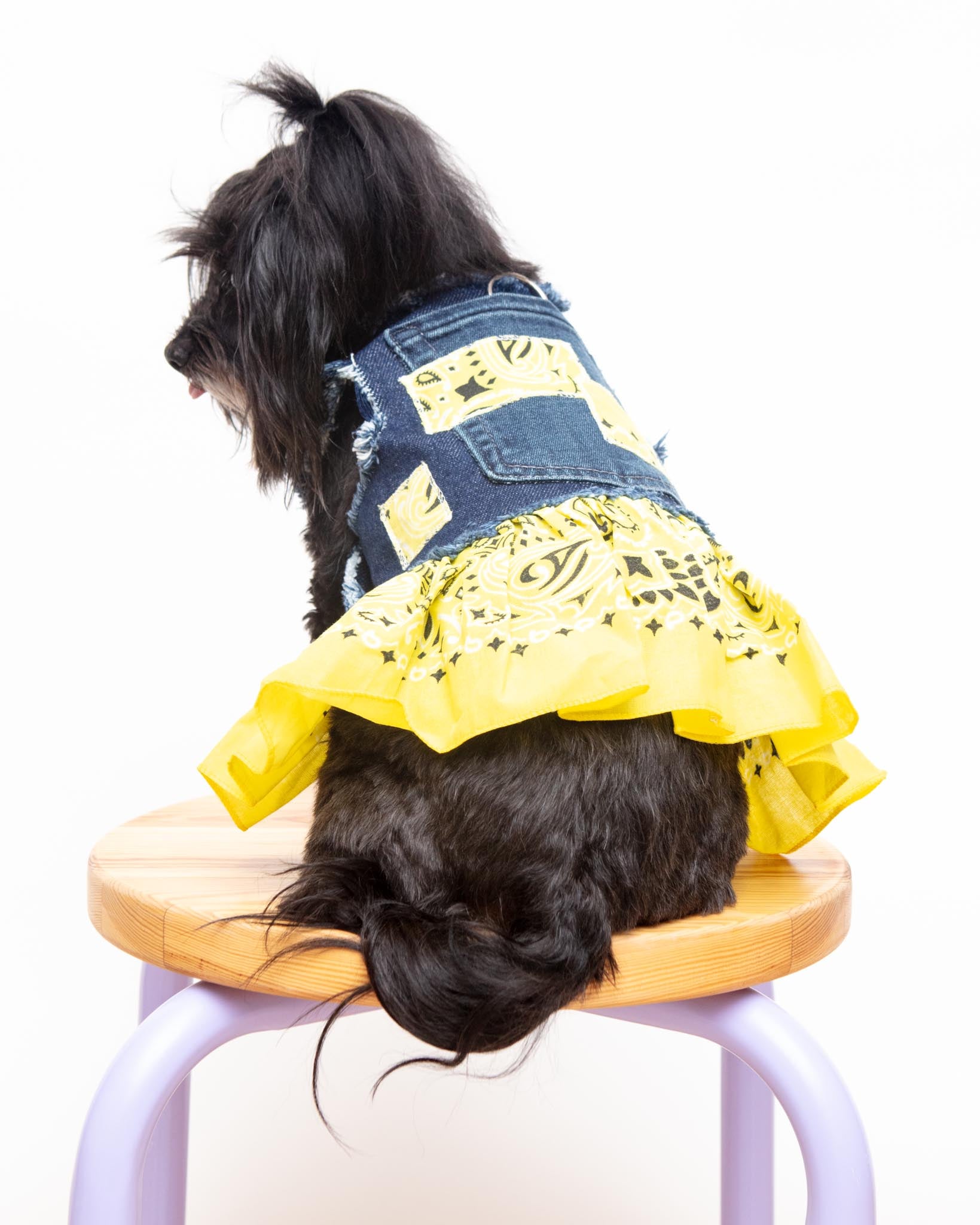 ocean denim dog dress HEADS OR TAILS PUP | & Bandana Harness Color:Brown / Cream TagLabel: Rhinestones Sexy One-shoulder Cut Out Homecoming dresses 13 Inch