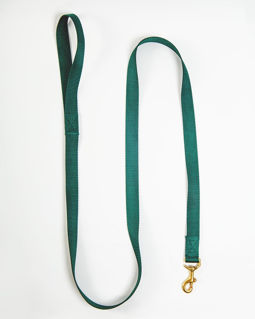 Basic Nylon Dog Leash in Evergreen (Made in the USA) WALK MAJOR DARLING   