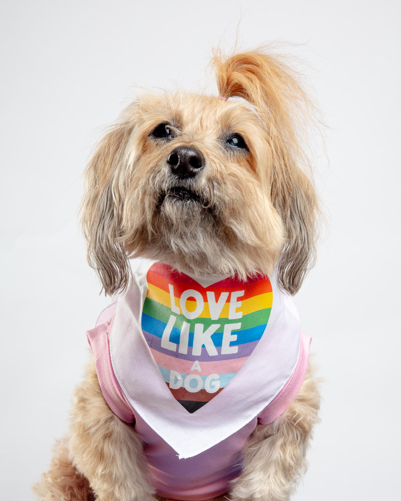 Love Like a Dog Pride Bandana Wear DOG & CO.   