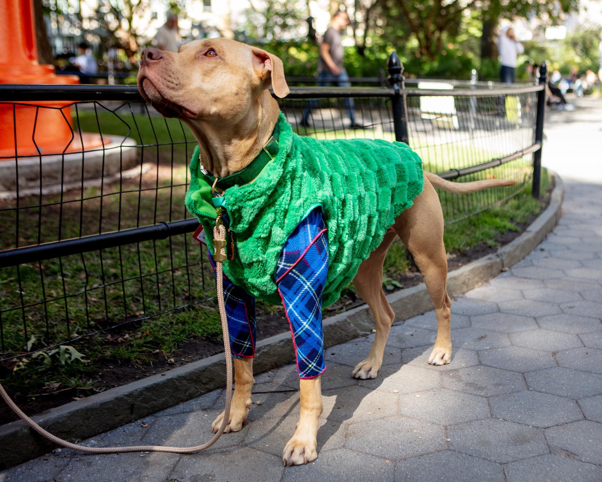 THE WORTHY DOG | Fleece Check Half-Zip Pullover for Dogs | DOG & CO.