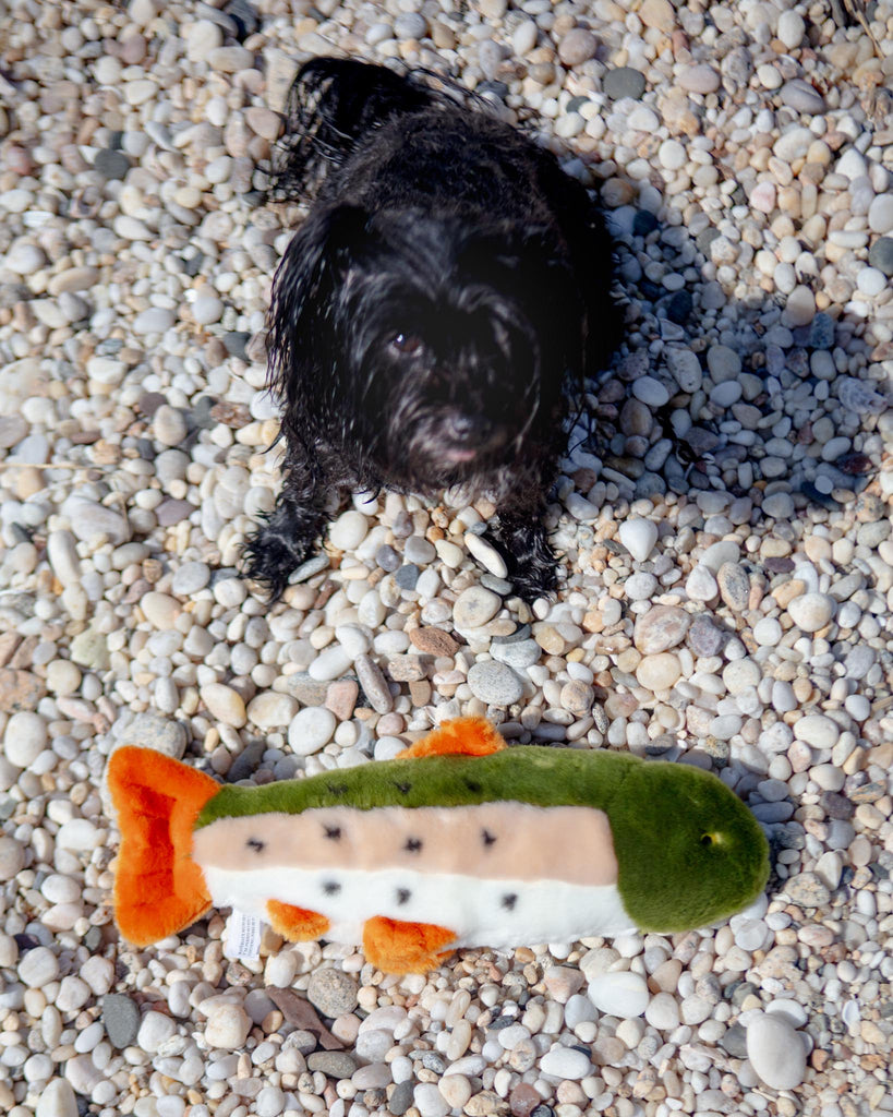 Ruby the Rainbow Trout Plush Dog Toy Play FLUFF & TUFF   