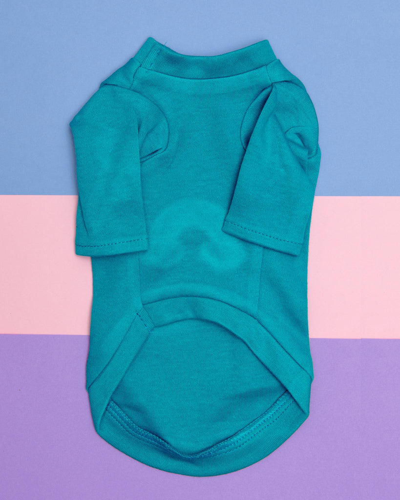 Rainbow Tiny Dog Tee in Aqua (CLEARANCE) Wear HELLO DOGGIE   