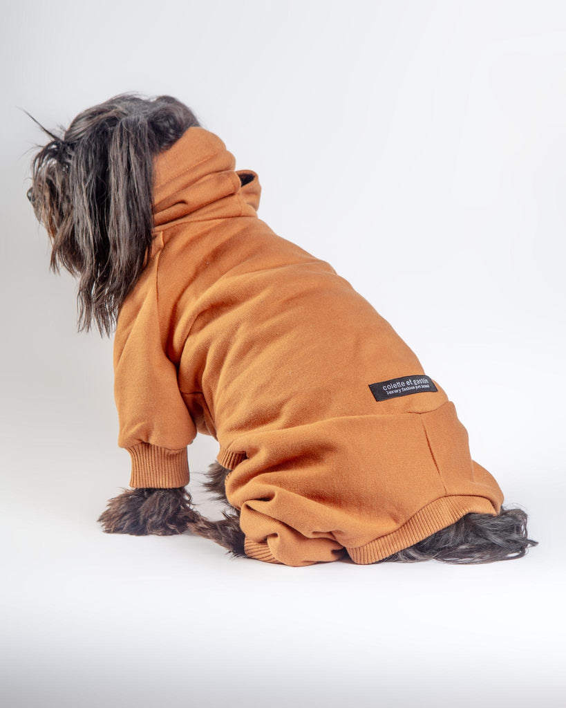 Sweatsuit Onesie for Dogs in Camel Wear COLETTE ET GASTON   
