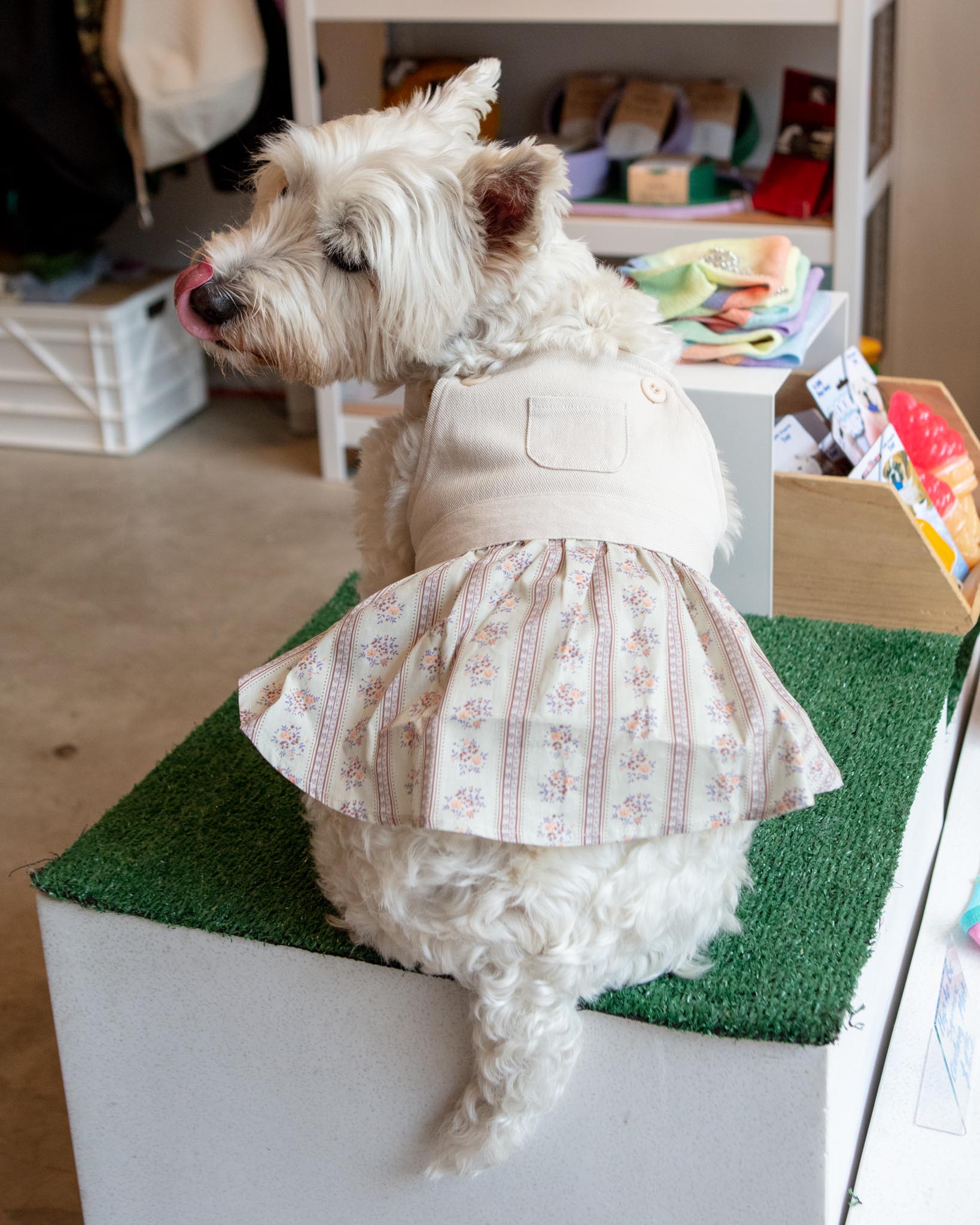 MONCHERI | Denim Flower Dog Dress
