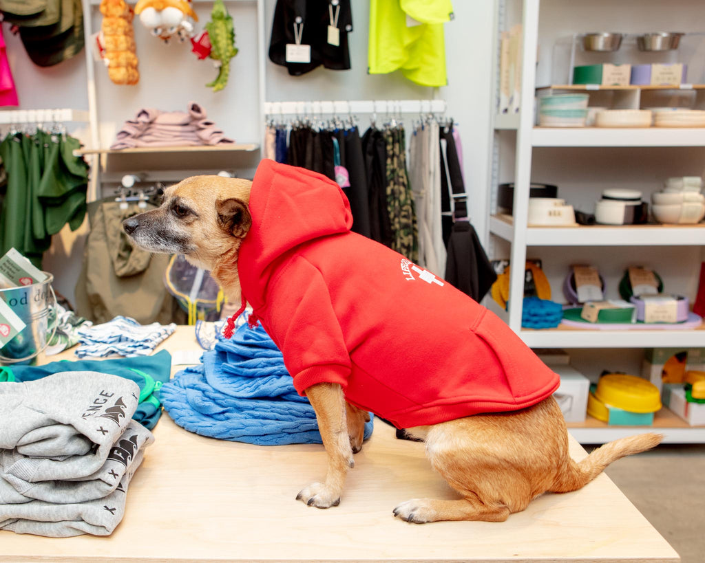 Lifeguard Dog Hoodie in Red Wear CHLOE AND MAX   